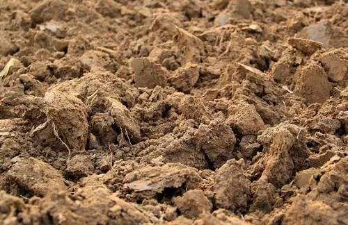 土壤污染的防治，重點(diǎn)監(jiān)管哪些單位