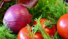 肥料養(yǎng)分檢測(cè)儀如何為防控病蟲(chóng)害“添把力”？