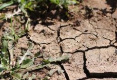 肥料養(yǎng)分檢測(cè)儀是如何“保生態(tài)”的？