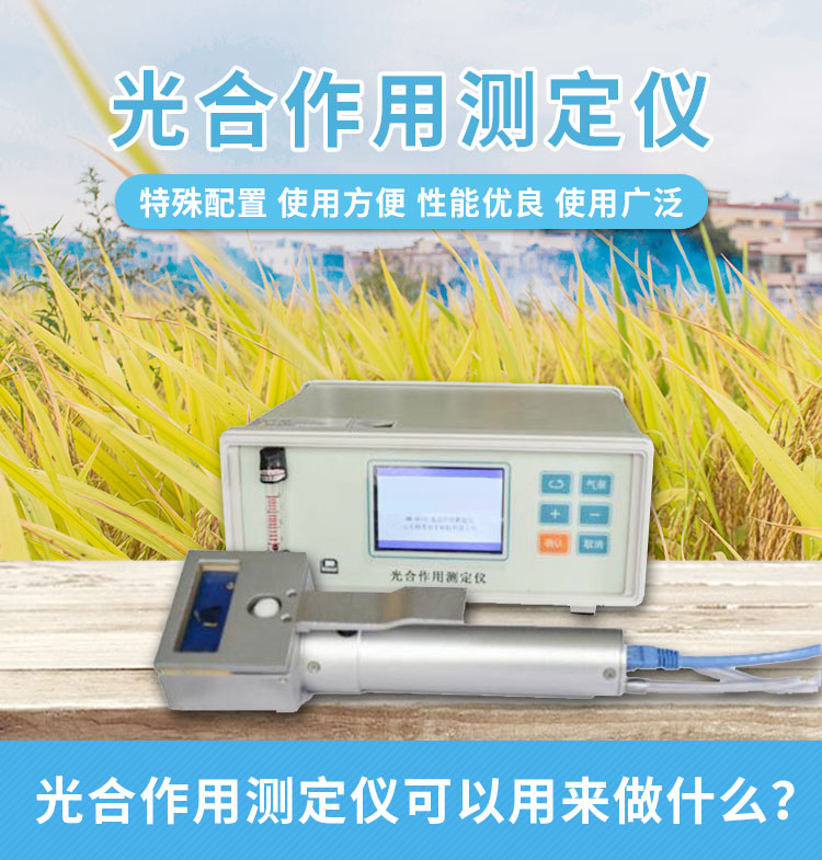 光合作用測(cè)定儀 光合作用測(cè)定儀