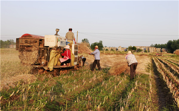 土壤墑情 土壤墑情