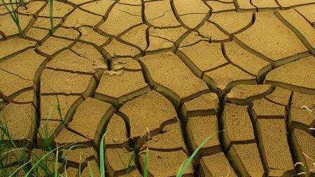 土壤酸堿度檢測(cè)儀 土壤酸堿度檢測(cè)儀