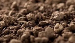 肥料養(yǎng)分檢測儀是如何實現(xiàn)“精準(zhǔn)施肥”的？