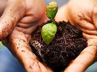 測土配方儀 測土配方儀