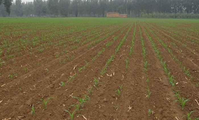 土壤微量元素測(cè)定儀 土壤微量元素測(cè)定儀