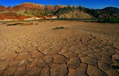 土壤肥料養(yǎng)分檢測儀指導(dǎo)科學(xué)施肥