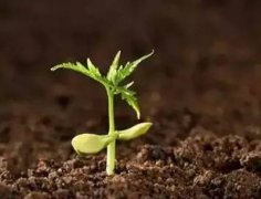 高智能土壤肥料養(yǎng)分速測(cè)儀有什么作用？