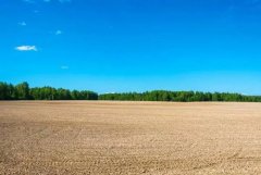 土壤養(yǎng)分分析儀幫助作物科學(xué)生長(zhǎng)