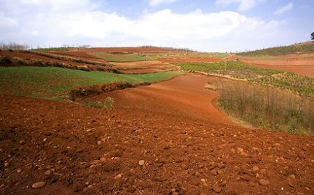 土壤墑情監(jiān)測(cè)系統(tǒng) 土壤墑情監(jiān)測(cè)系統(tǒng)