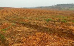 高智能土壤養(yǎng)分檢測(cè)儀有哪些優(yōu)點(diǎn)？