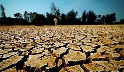 測土配方施肥儀 測土配方施肥儀