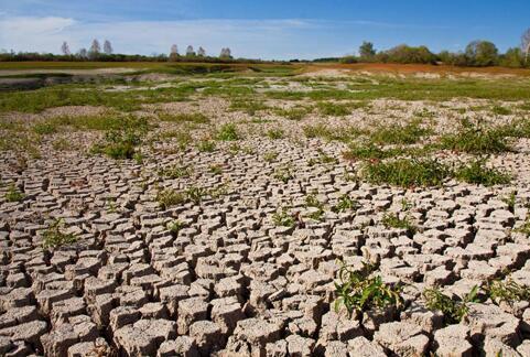 高智能土壤養(yǎng)分檢測(cè)儀 高智能土壤養(yǎng)分檢測(cè)儀