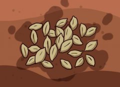 為什么測土施肥儀能夠獲得人們認可？