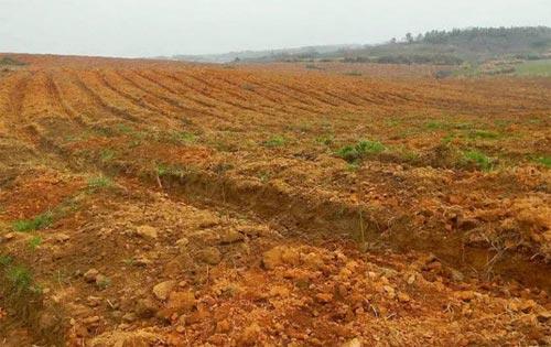 土壤養(yǎng)分檢測儀 土壤養(yǎng)分檢測儀