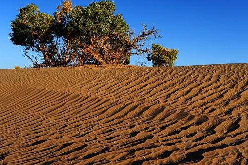 土壤養(yǎng)分速測儀 土壤養(yǎng)分速測儀