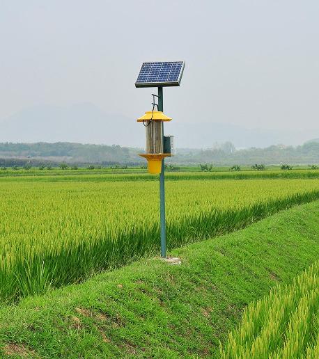 太陽能殺蟲燈 太陽能殺蟲燈