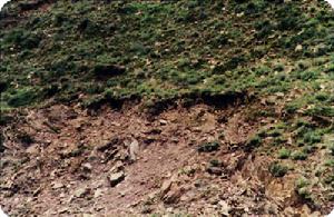 土壤養(yǎng)分檢測儀 土壤養(yǎng)分檢測儀