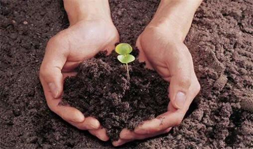 土壤養(yǎng)分檢測儀 土壤養(yǎng)分檢測儀