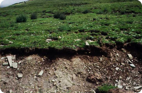 土壤養(yǎng)分檢測儀 土壤養(yǎng)分檢測儀