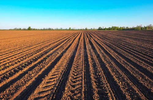 土壤養(yǎng)分檢測(cè)儀優(yōu)化我們的種植環(huán)境 土壤養(yǎng)分檢測(cè)儀優(yōu)化我們的種植環(huán)境