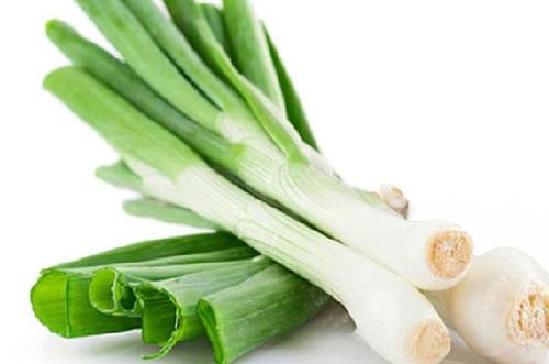 土壤肥料養(yǎng)分檢測儀 土壤肥料養(yǎng)分檢測儀