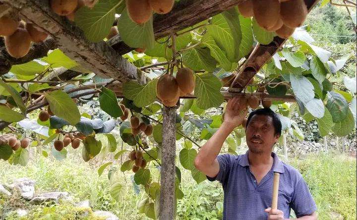 土壤養(yǎng)分檢測儀 土壤養(yǎng)分檢測儀