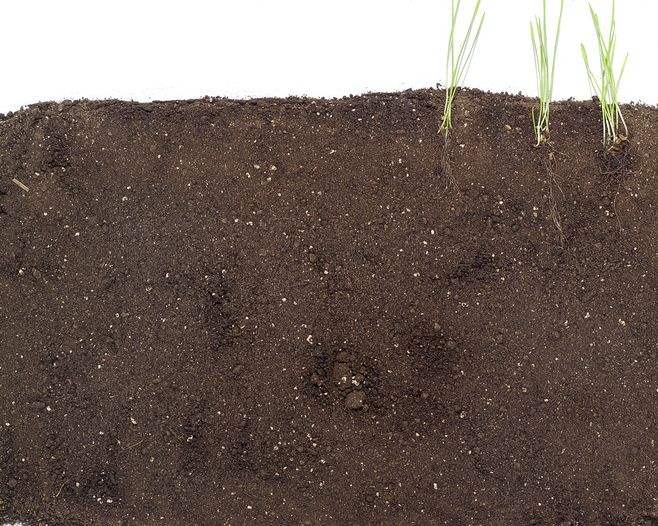 什么是土壤?土壤對環(huán)境的意義何在? 什么是土壤?土壤對環(huán)境的意義何在?