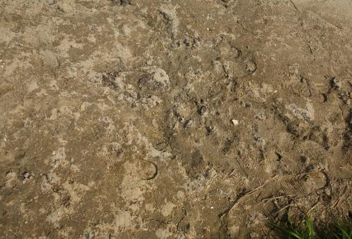 土壤養(yǎng)分檢測儀 土壤養(yǎng)分檢測儀