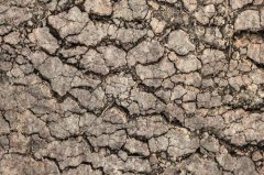 土壤重金屬污染日益嚴(yán)重，如何改善這一狀況