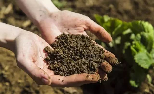 土壤養(yǎng)分檢測儀 土壤養(yǎng)分檢測儀