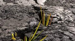 土壤重金屬污染如何修復(fù)？