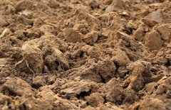 我國的土壤主要有哪些分類呢？