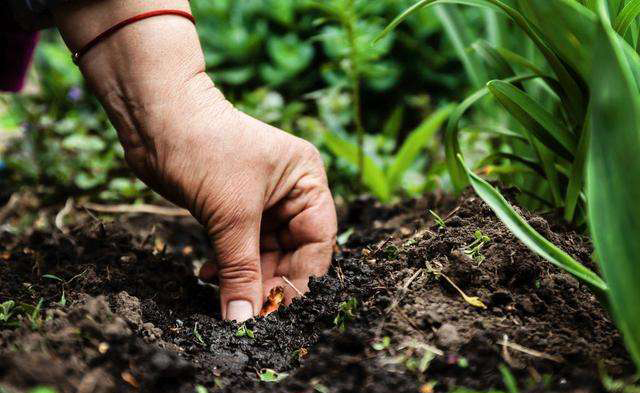 1568798724544328.jpg 1568798724544328.jpg