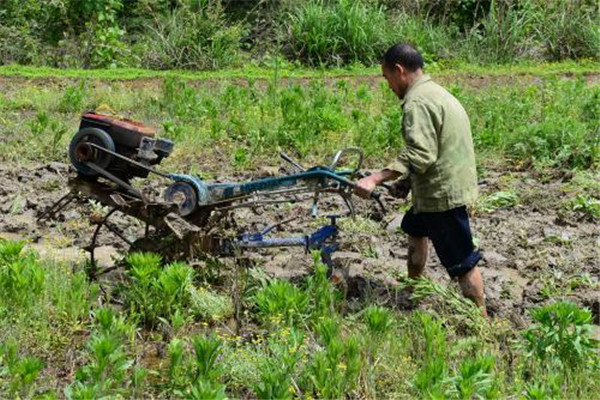 土壤養(yǎng)分速測(cè)儀 土壤養(yǎng)分速測(cè)儀