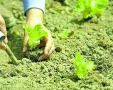 土壤微量元素儀緩解農(nóng)作物“營(yíng)養(yǎng)不良”問(wèn)題