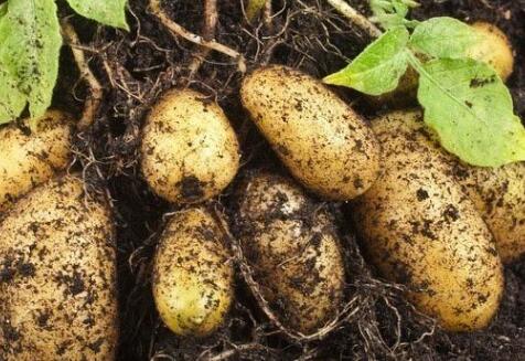 測土配方施肥儀